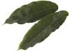 Cardamom Leaves (15 blaadjes-schaal) kist 8 stuks