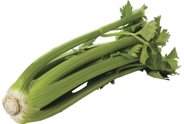 Celery crade 12 pieces