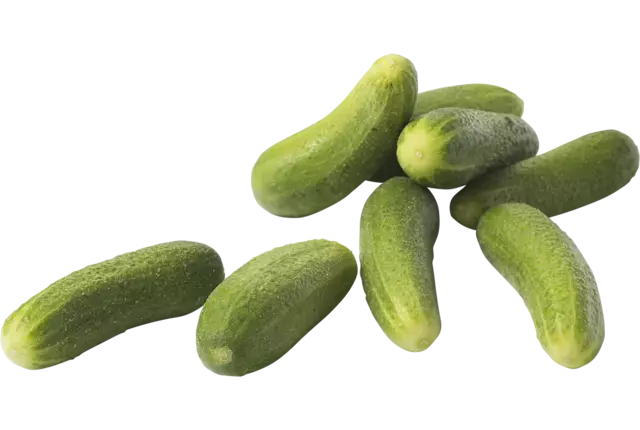 Cornichons frais caisse 10kg