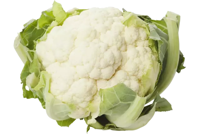 Kasbloemkool maat 4