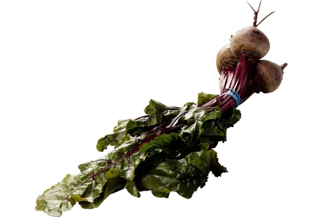 Wild beetroot crade 12 pieces