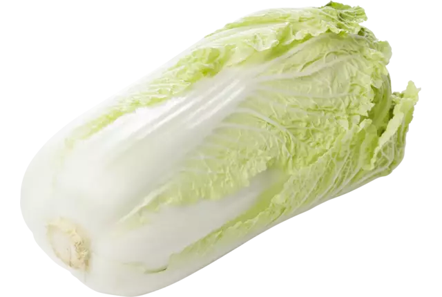 Chinese kool stuk