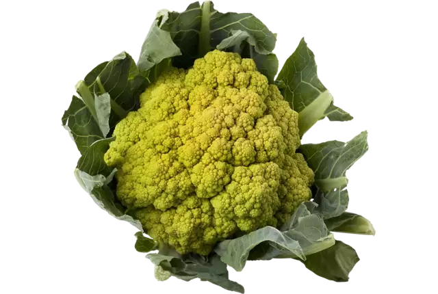 Chou-fleur vert caisse 6pc