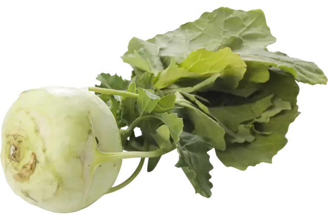 Turnip Cabbage crade 20 pieces