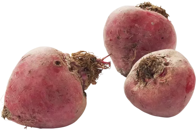 Betteraves chioggia caisse 5kg