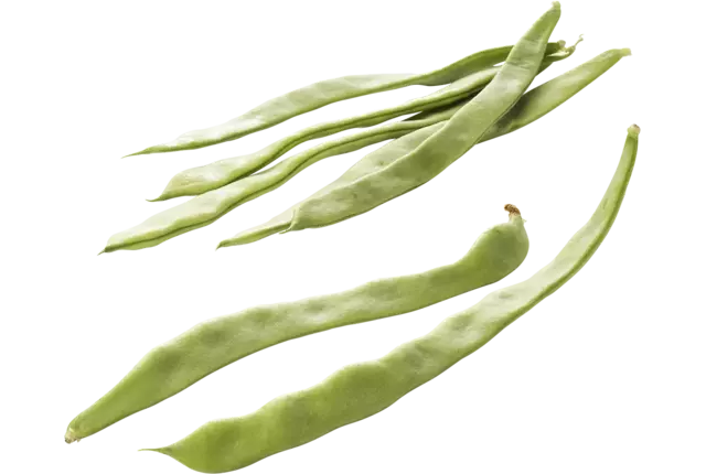 Haricots crade 4 kilo