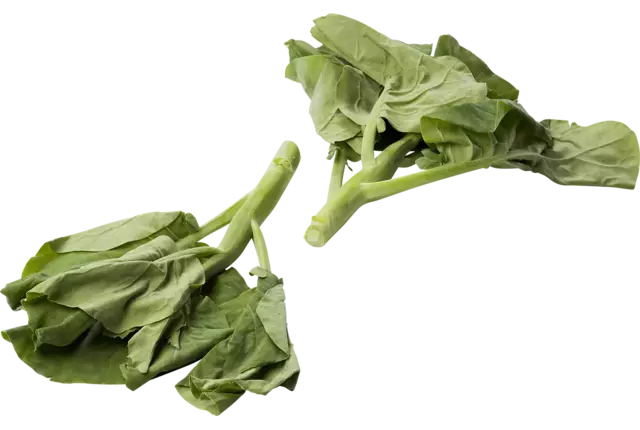 Kailan 250gr. stuk