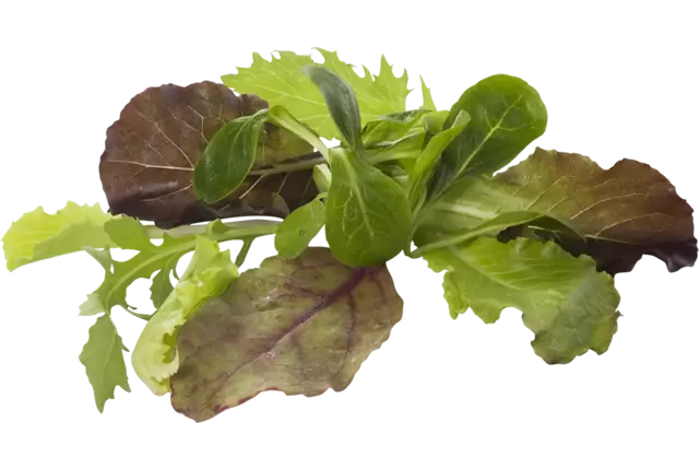 Mesclun crade 1 kilo