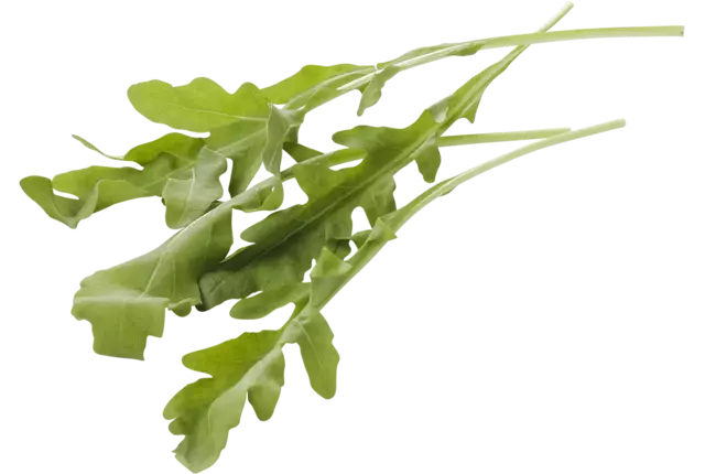 Feuilles de roquette caisse 1kg
