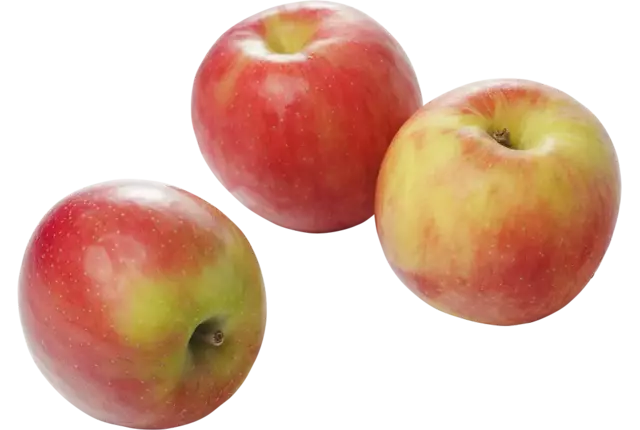 Elstar appels 75-80 kist 11 kilogram