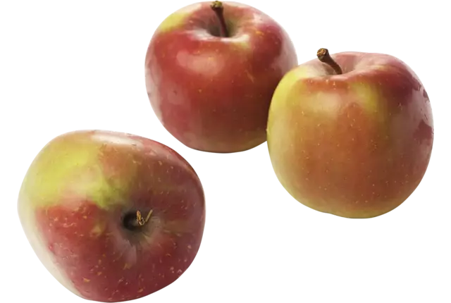 Pommes Jonagold 70-80 caisse 11kg