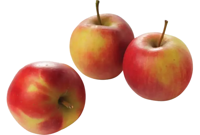 Pink lady appels kist 18 kilogram