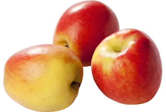 Jazz appels kist 18 kilogram