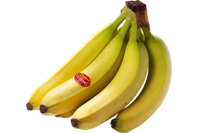 Bananen Turbana doos 18 kilogram