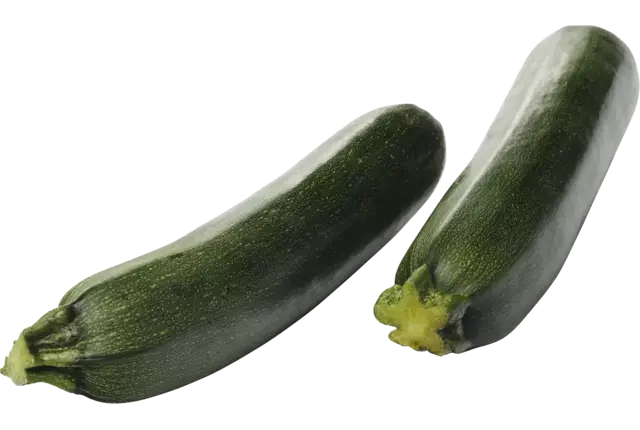 Courgettes groen kist 14 stuks