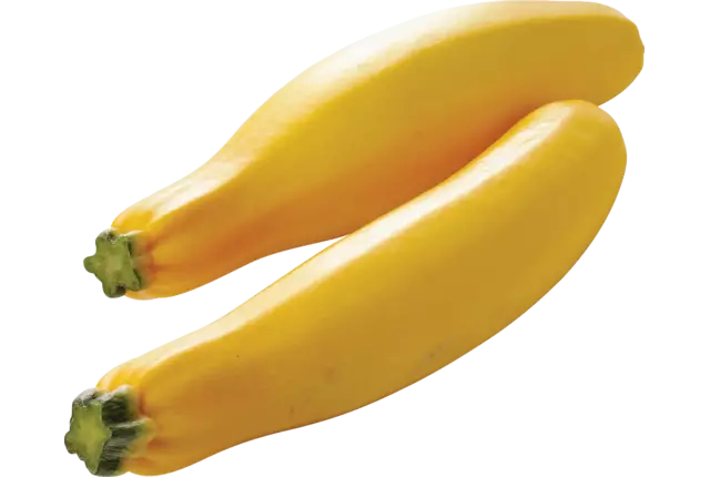 Courgettes geel kist 14 stuks