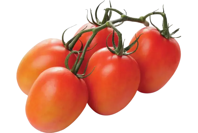 Pruimtrostomaten verpakt 750gr