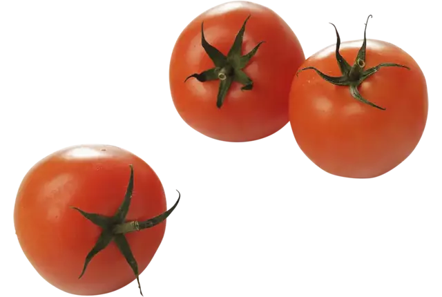 Tomates C caisse 6kg