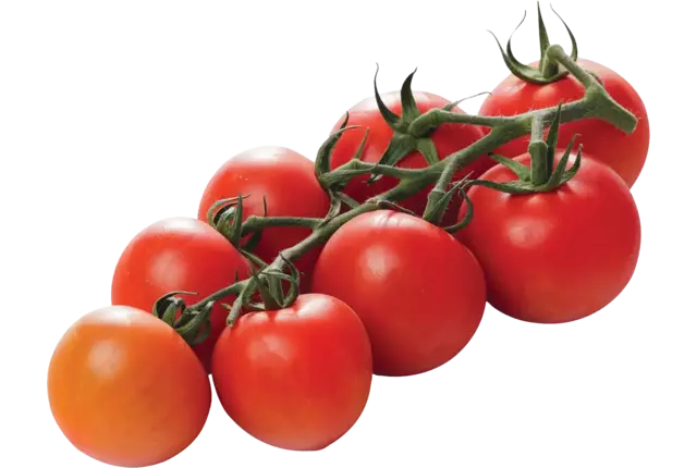 Tasty Tom Tomato