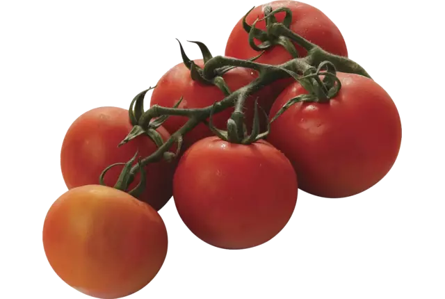 BIO Trostomaten verpakt 500gr stuk