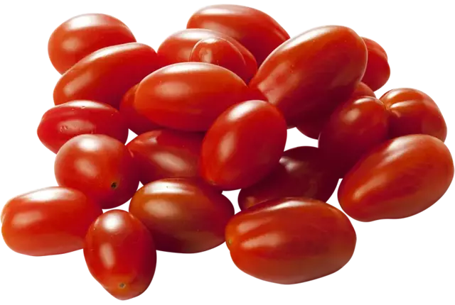 Santa cherry tomaat kist 4 kilogram