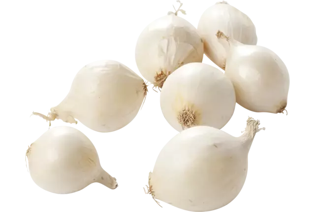 Zilveruien wit kist 5 kilogram