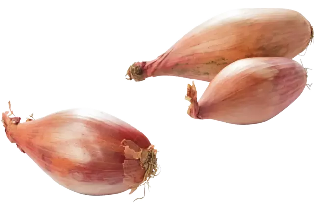 Banaan sjalotten verpakt 500gr