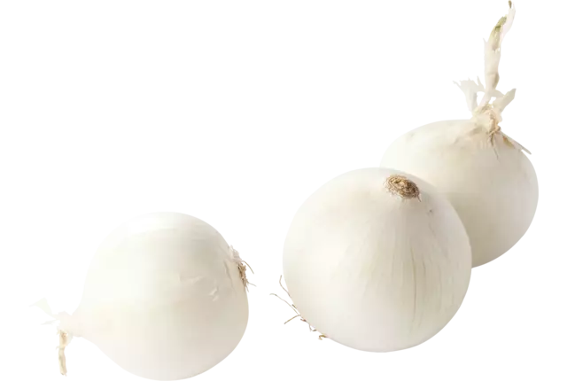 Witte uien kist 10 kilogram