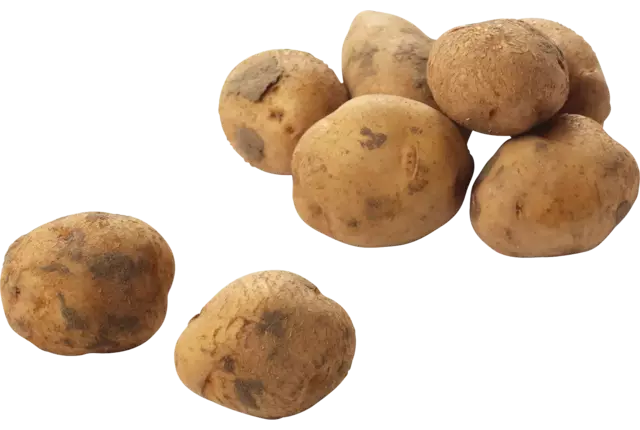 Bildstar potatoes 2,5 kg piece