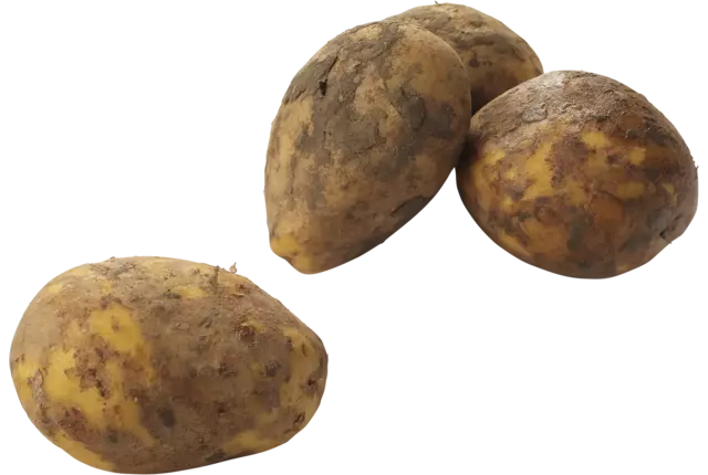Aardappel bonken geborsteld 2,5kg stuk