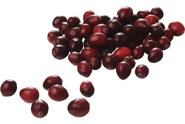 Cranberries vers 340gr kist 24 stuks
