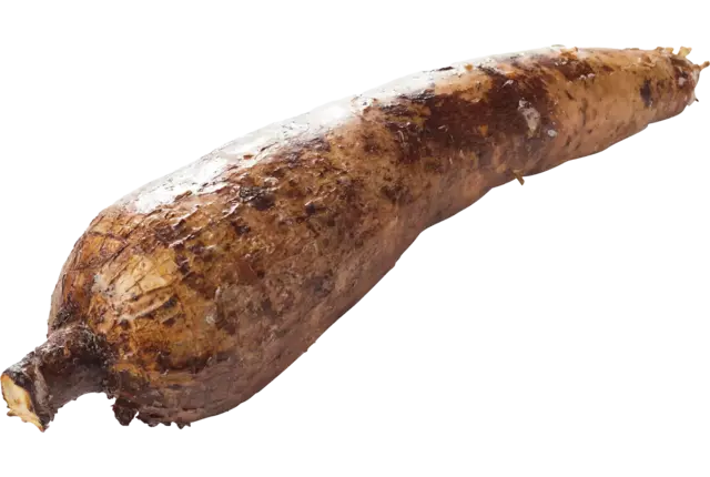 Casave kist 18 kilogram
