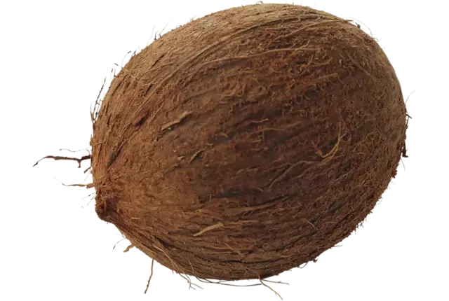 Noix de coco caisse 25pc