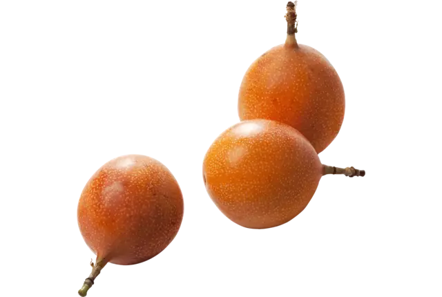 Grenadilla (12-18st)