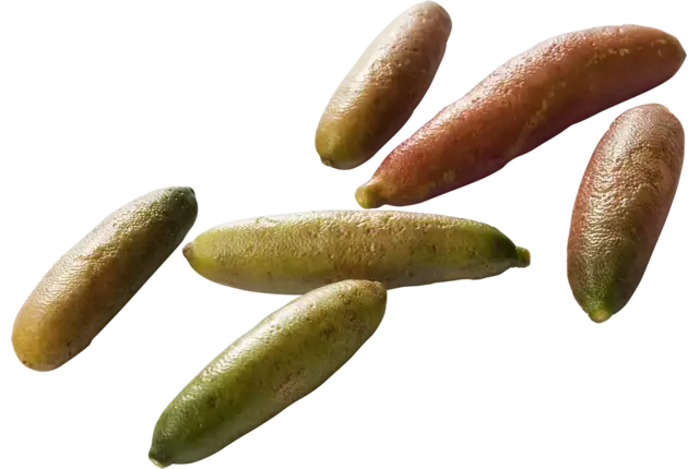 Finger limes verpakt 100gr stuk
