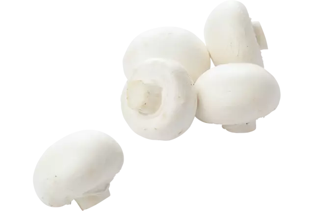 Champignons fijn 250gr kist 11 stuks