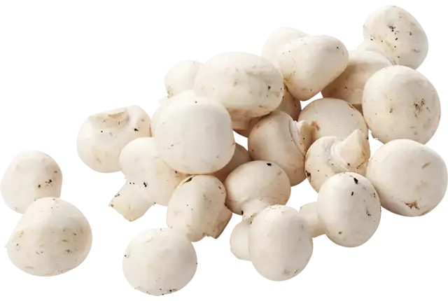 Mini champignons 500g caisse 6pc