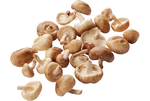 Shiitake mini 500 gr crade 4 pieces