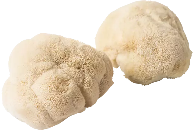 Pom Pom Blanc caisse 1kg