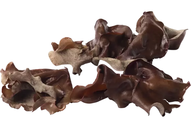 Oreille de Juda caisse 1kg