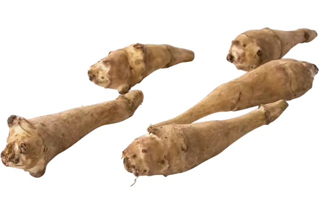 Aardperen wit helianthi kist 5 kilogram