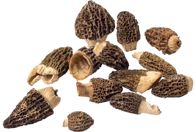 Morilles cultivated crade 1 kilo
