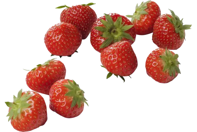 Aardbeien Beekers Berries 500gr kist 12 stuks