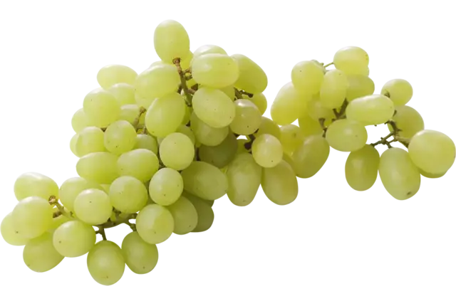 Raisins blanches sans pépins caisse 4,5kg