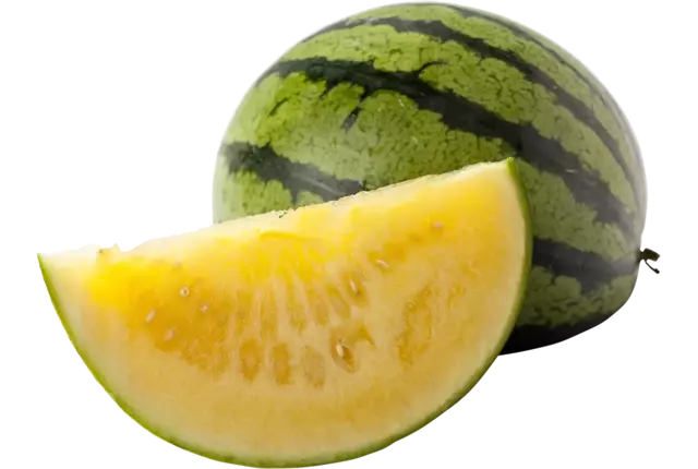 Pastèque sans pépins jaune pièce