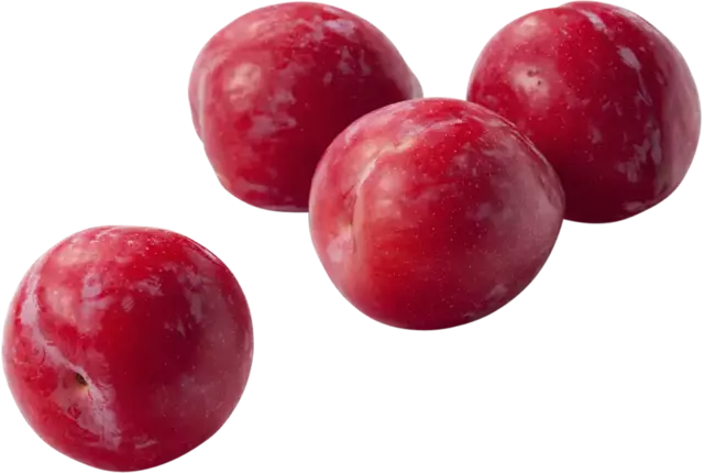 Plums reine victoria crade 6 kilo