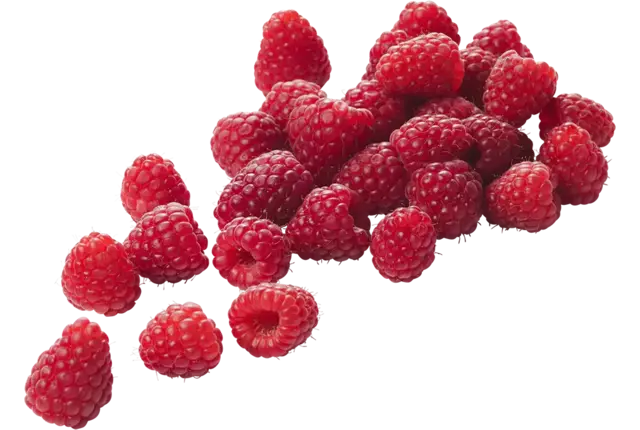 Frambozen beekers berries 125gr kist 12 stuks