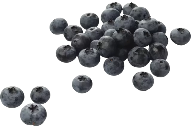 Blauwe bessen Beekers Berries 125gr kist 12 stuks