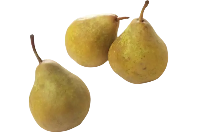 Gieser Wildeman pear 70-80 crade 14 kilo