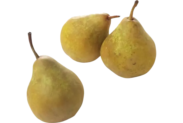 Gieser Wildeman pear small 50-60 crade 14 kilo
